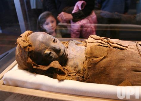 A St. Louis mummy is about to go back on display